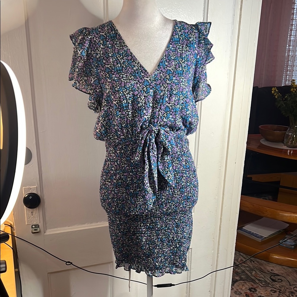 Floral V-Neck Mini Dress with Ruffle Sleeves